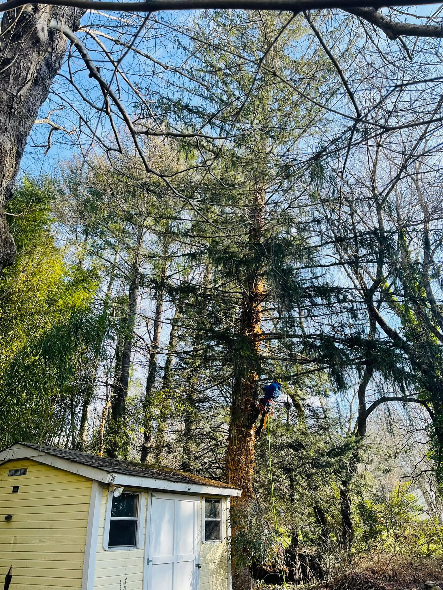 Concrete Contractor in Ventura County