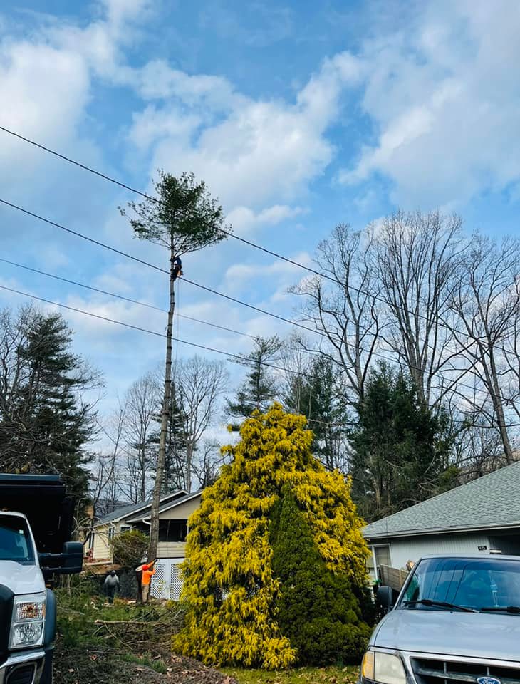 Concrete Contractor in Ventura County