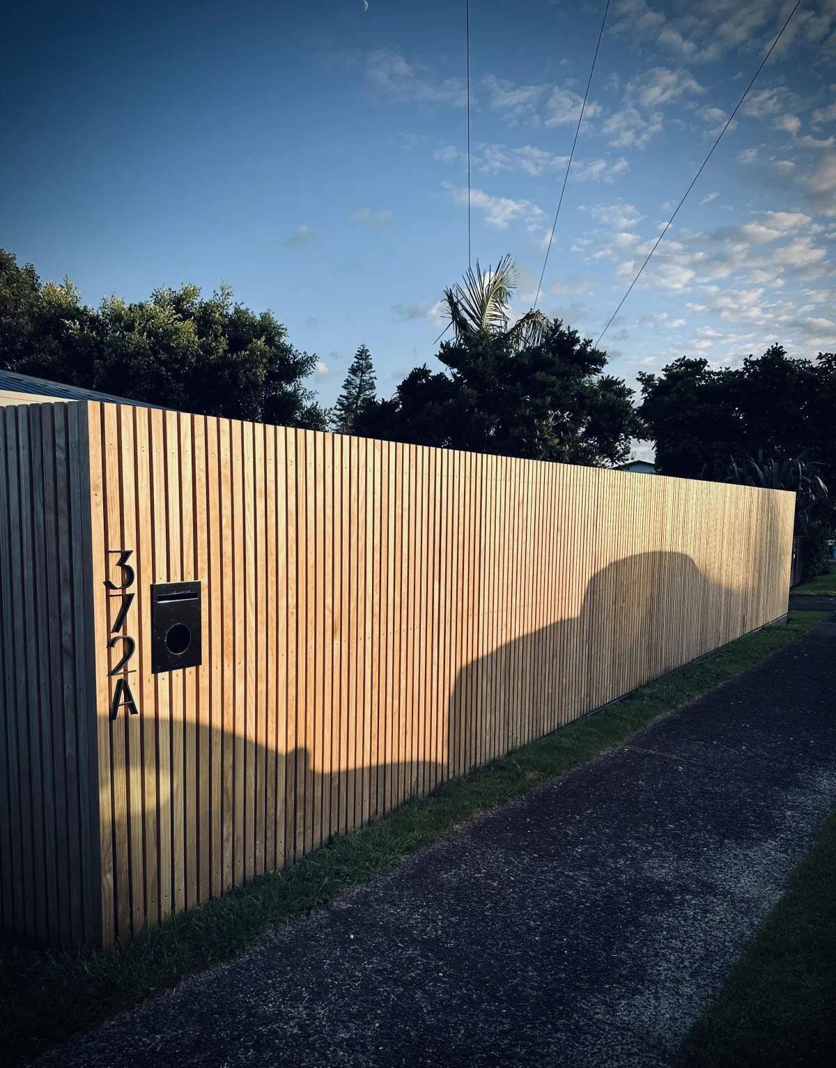 Fence Builder Tauranga