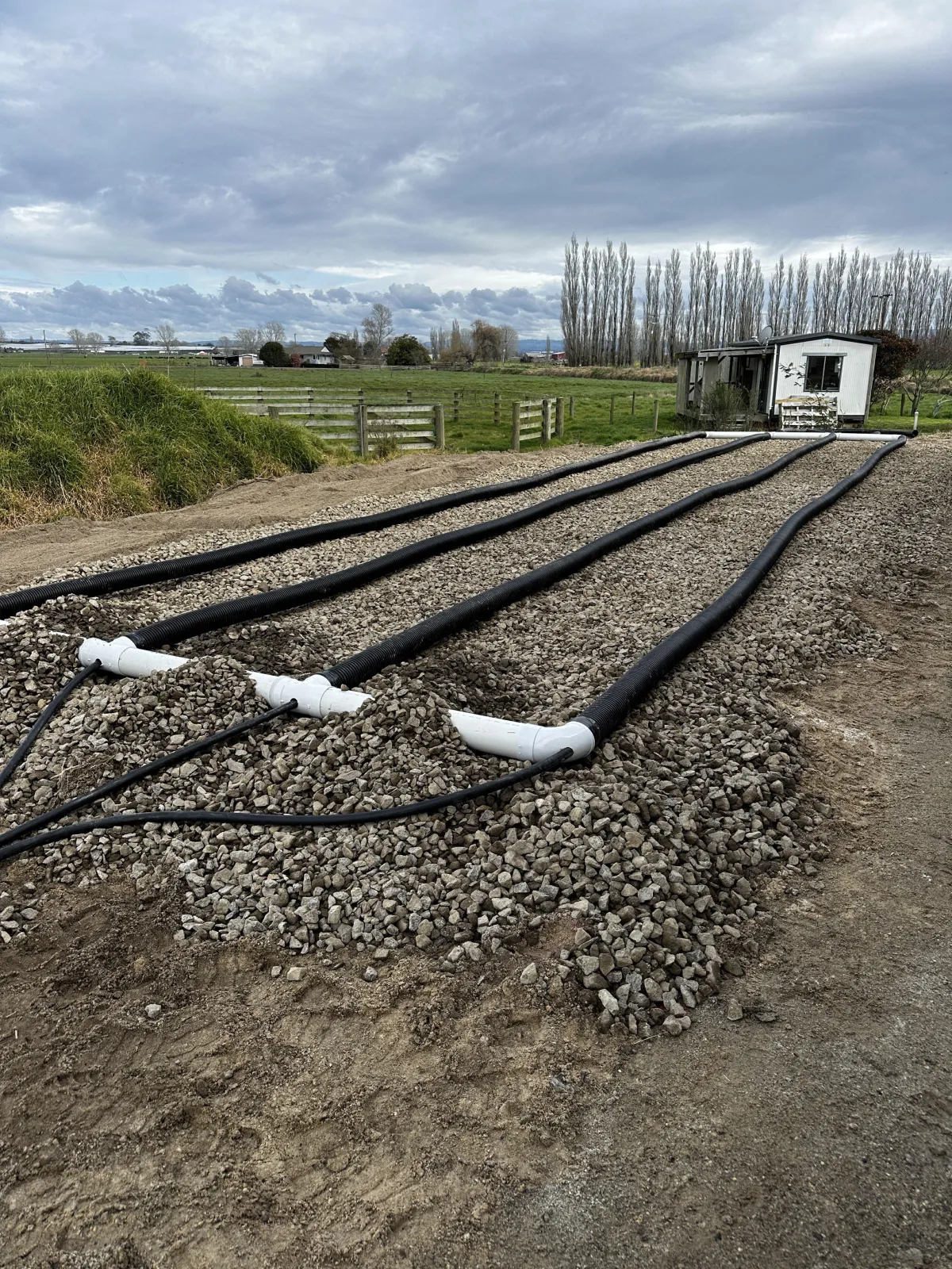 Drain laying Tauranga