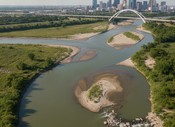 6-Week Executive Concierge in Grapevine