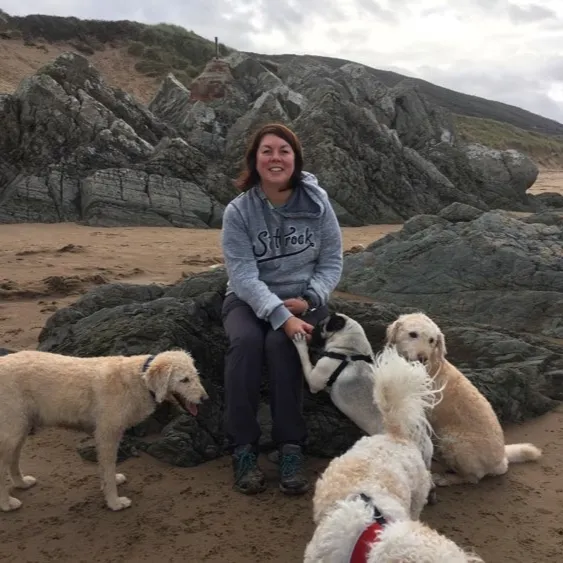 Sam Hughes and a group of dogs enjoying some fun on the beach and feeding dogs treats to improve behaviour.