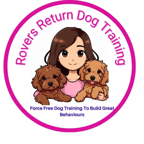 Affordable Prices in Dog Trainers Near You Rovers Return Dog Training