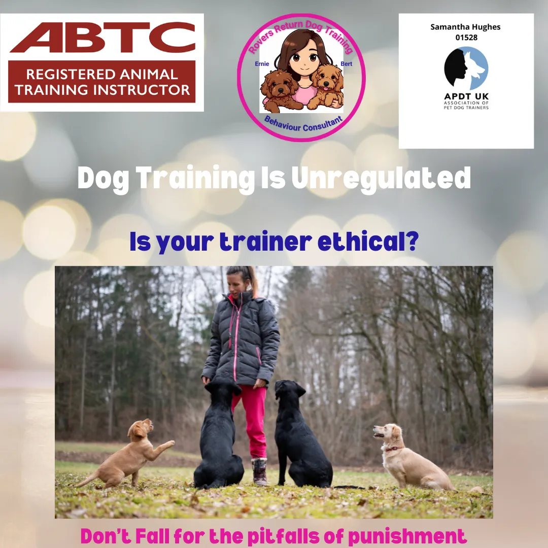 dog training is unregiulated