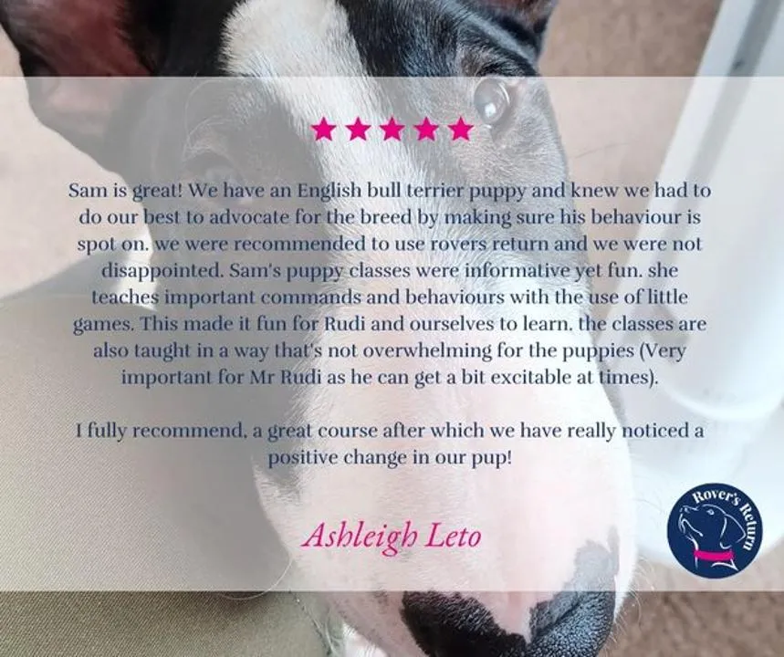 testimonial dog training