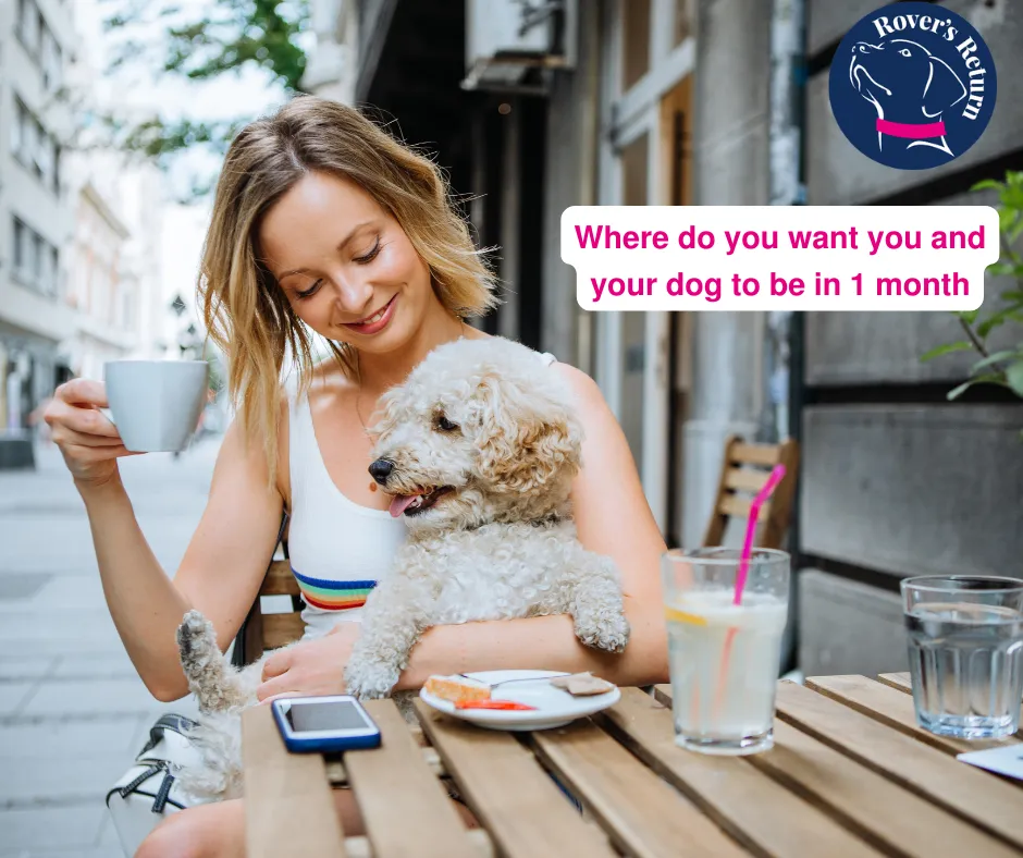 Puppy in  a cafe