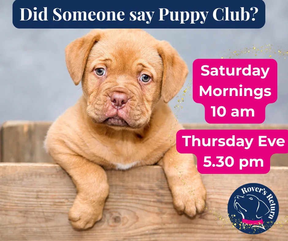 Puppy club poster