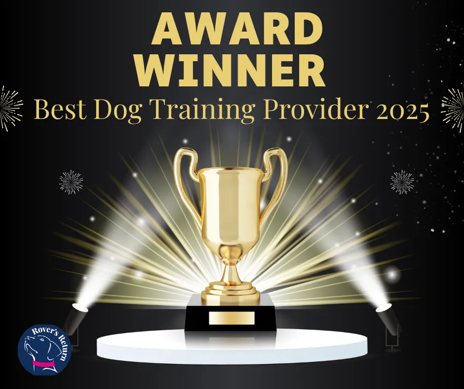 Award best dog training provider 