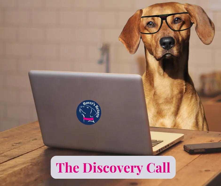Rovers Inner Circle online Dog club