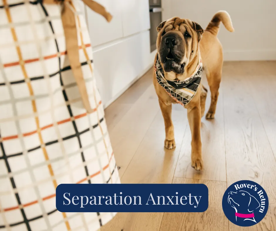 Separation Behaviours