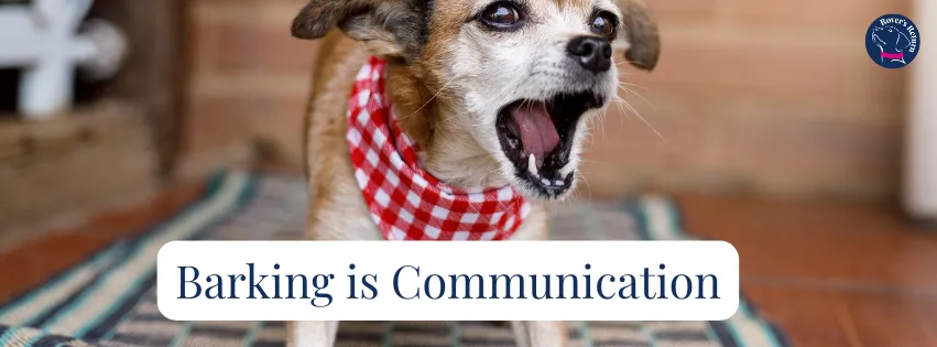 Testimonial for Rovers Return Dog Training Leicestershire