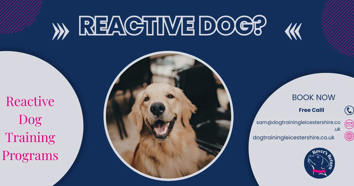 Reactive Dog - book a call