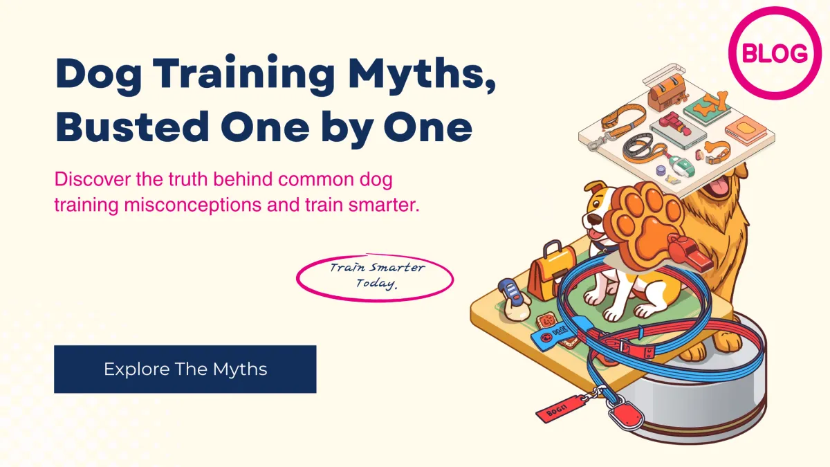 Blog post Fact vs. Fiction: The Biggest Dog Training Myths Debunked