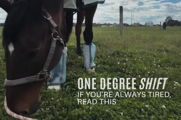 If You’re Always Tired, Read This Cover Photo