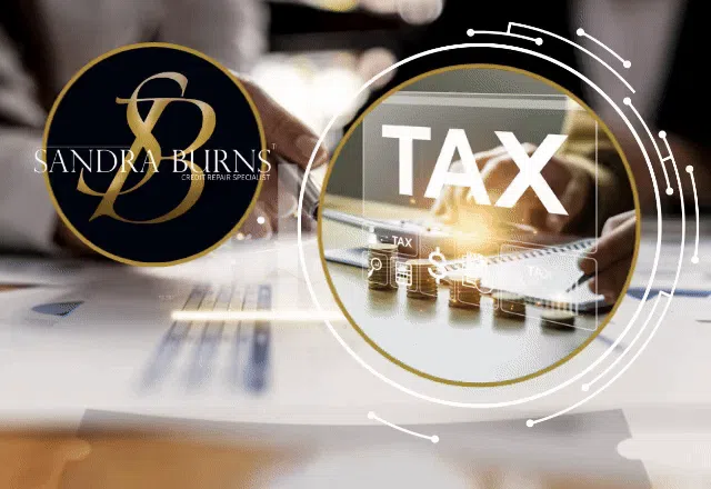 closeup photography of plant on ground