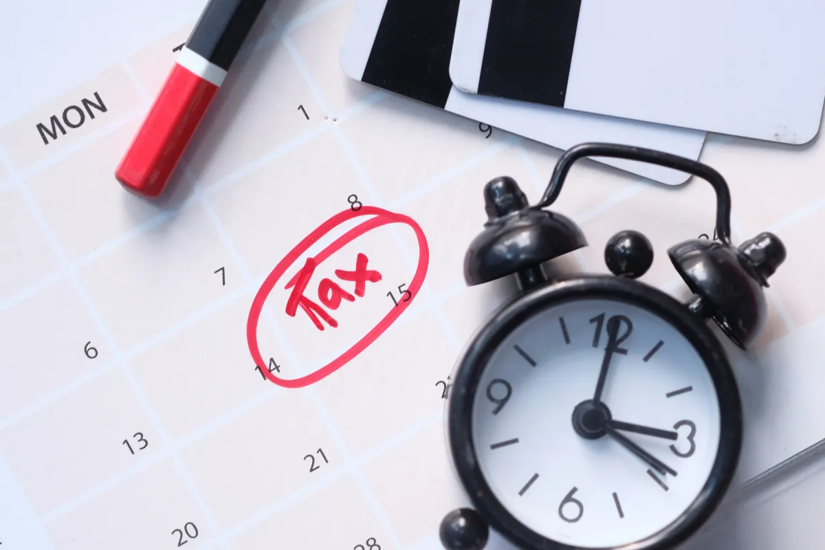 green plant in clear glass cup