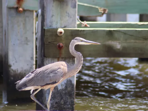 Lexington Residential HVAC