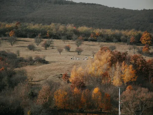 McAdams Residential HVAC