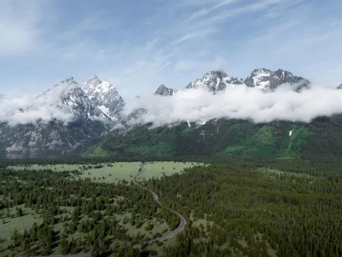 Jackson Commercial Refrigeration