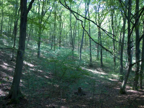 Greenwood Residential HVAC