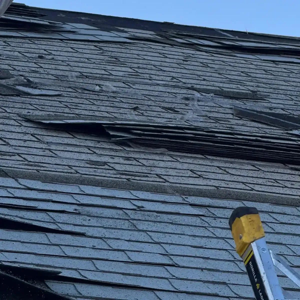 Wind-lifted asphalt shingles buckled on residential roof — roof repair Palm Springs CA