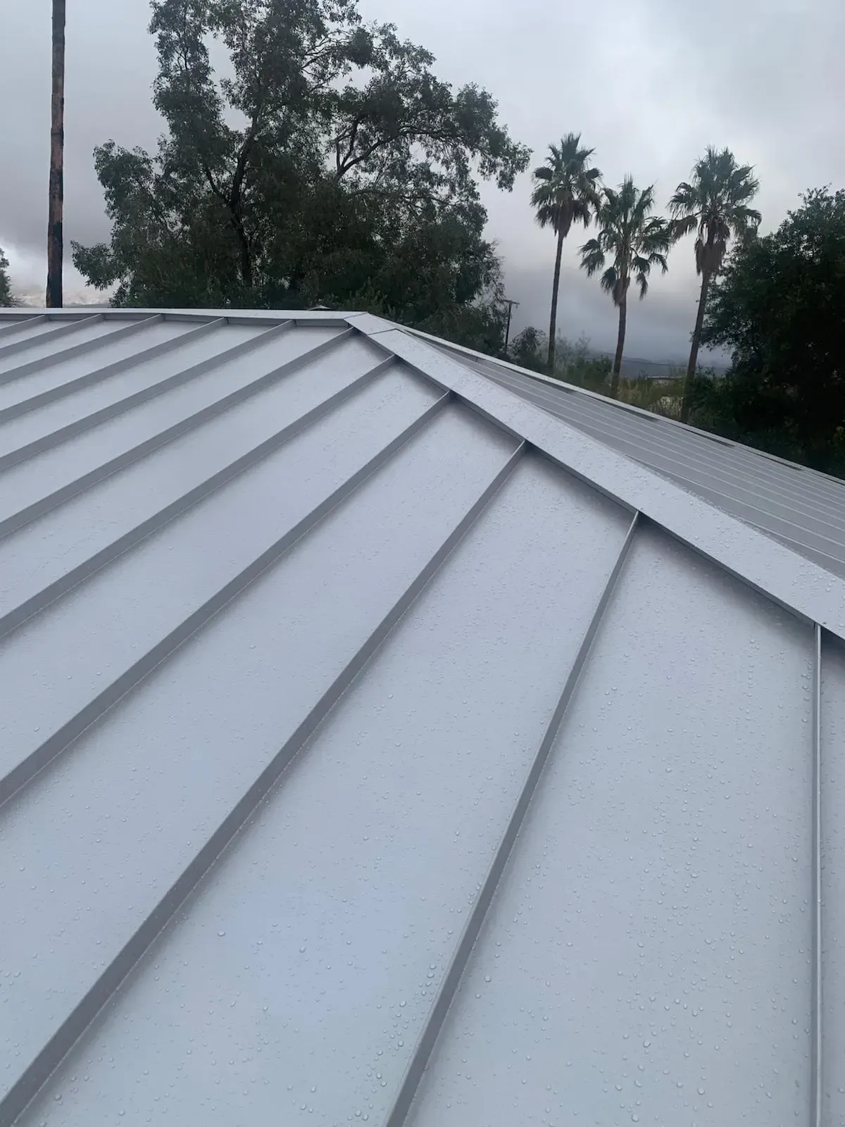 Light grey standing seam metal roof with palm trees  in background in Palm Springs area California by Dove Roofing