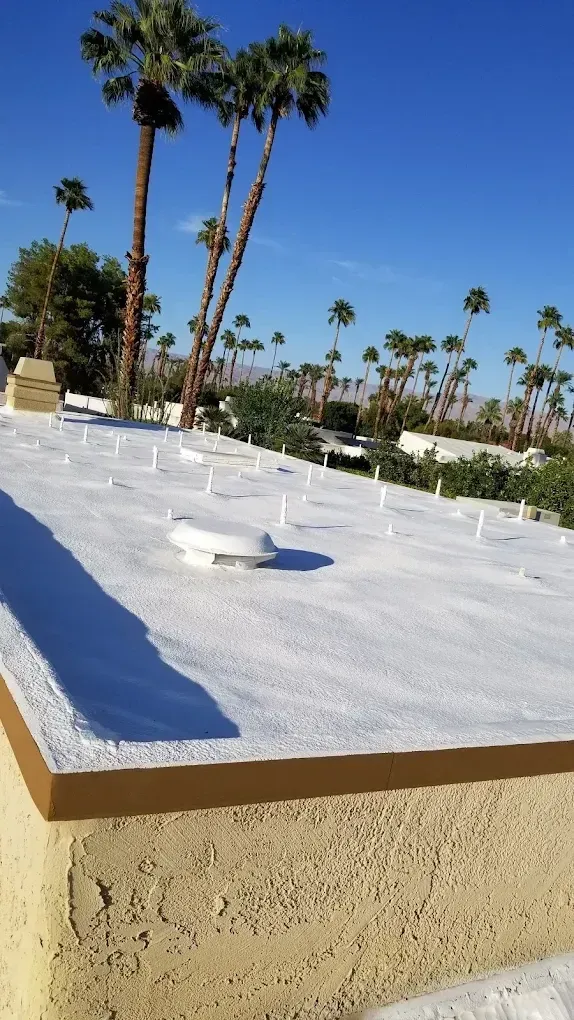 White spray foam flat roof with tall palms and mountain range behind — flat roof repair Palm Springs CA