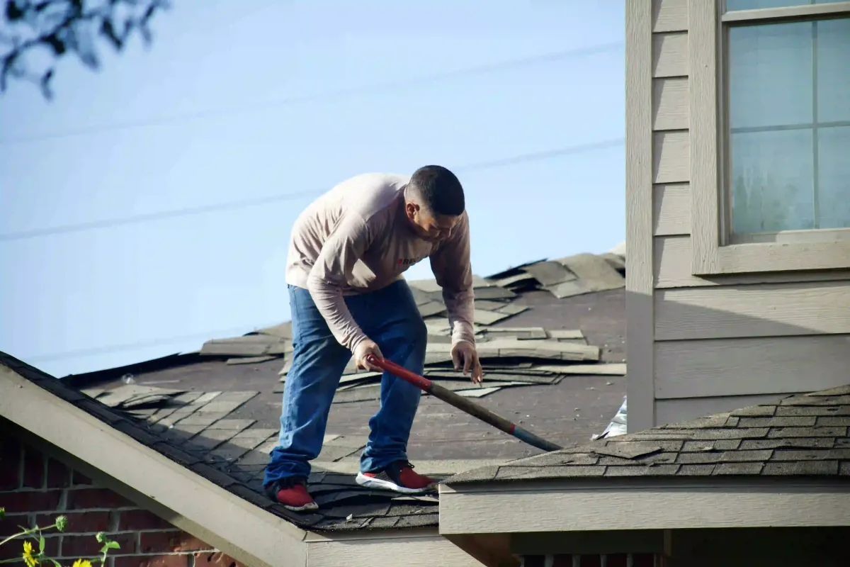 Roofing contractor removing old asphalt shingles during a re-roofing project