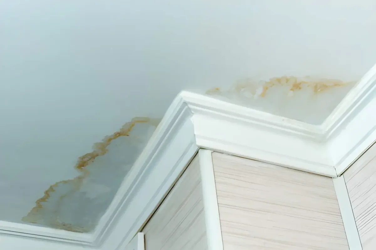 Interior ceiling corner showing brown water stains from a roof leak.