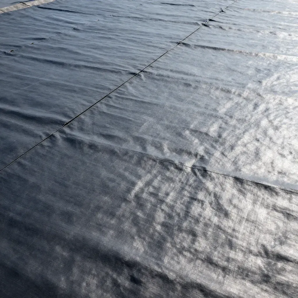 Dark single-ply flat roof membrane with visible heat-welded seams