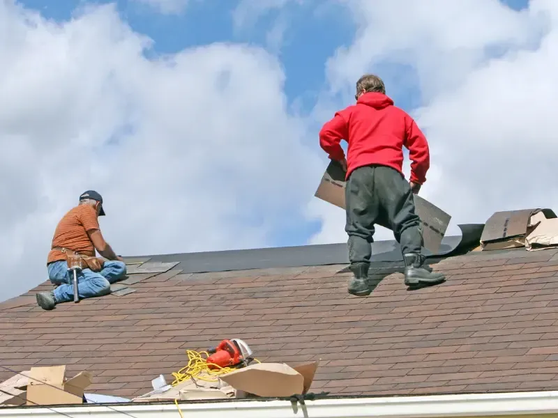 Two roofers removing old asphalt shingles during a roof replacement