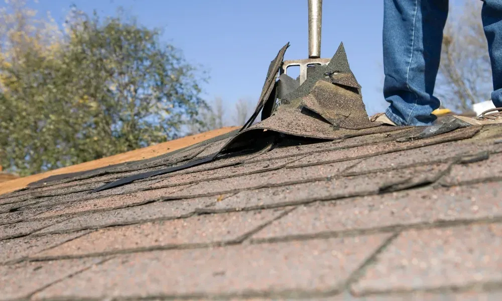 Hand lifting damaged shingle revealing gap at eave — what are signs of roof damage after a storm