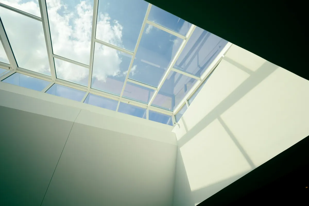skylight leak