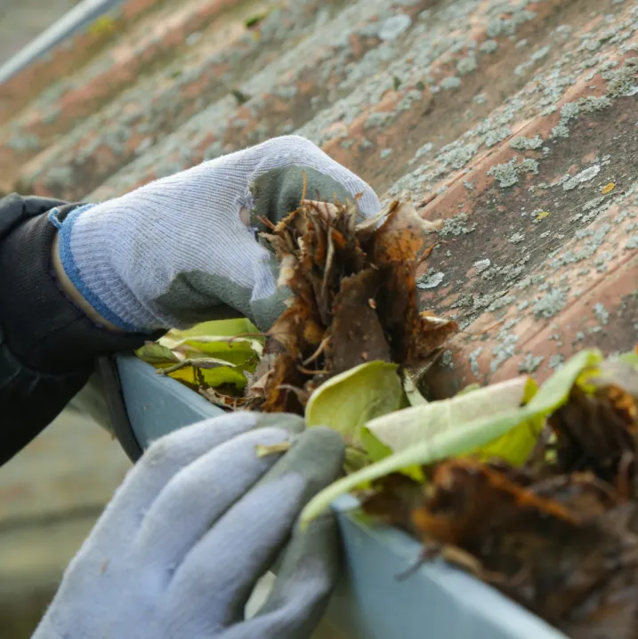 Gutter Maintenance