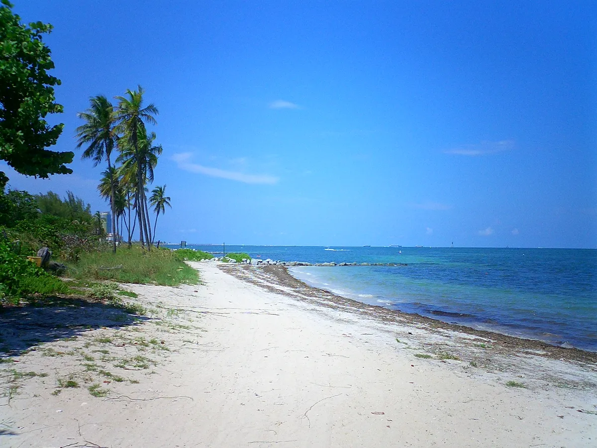 Before the Ship Sets Sail: Your Miami Cruise Travel Guide with FlexMobility