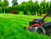 Lawn Care & Maintenance in London