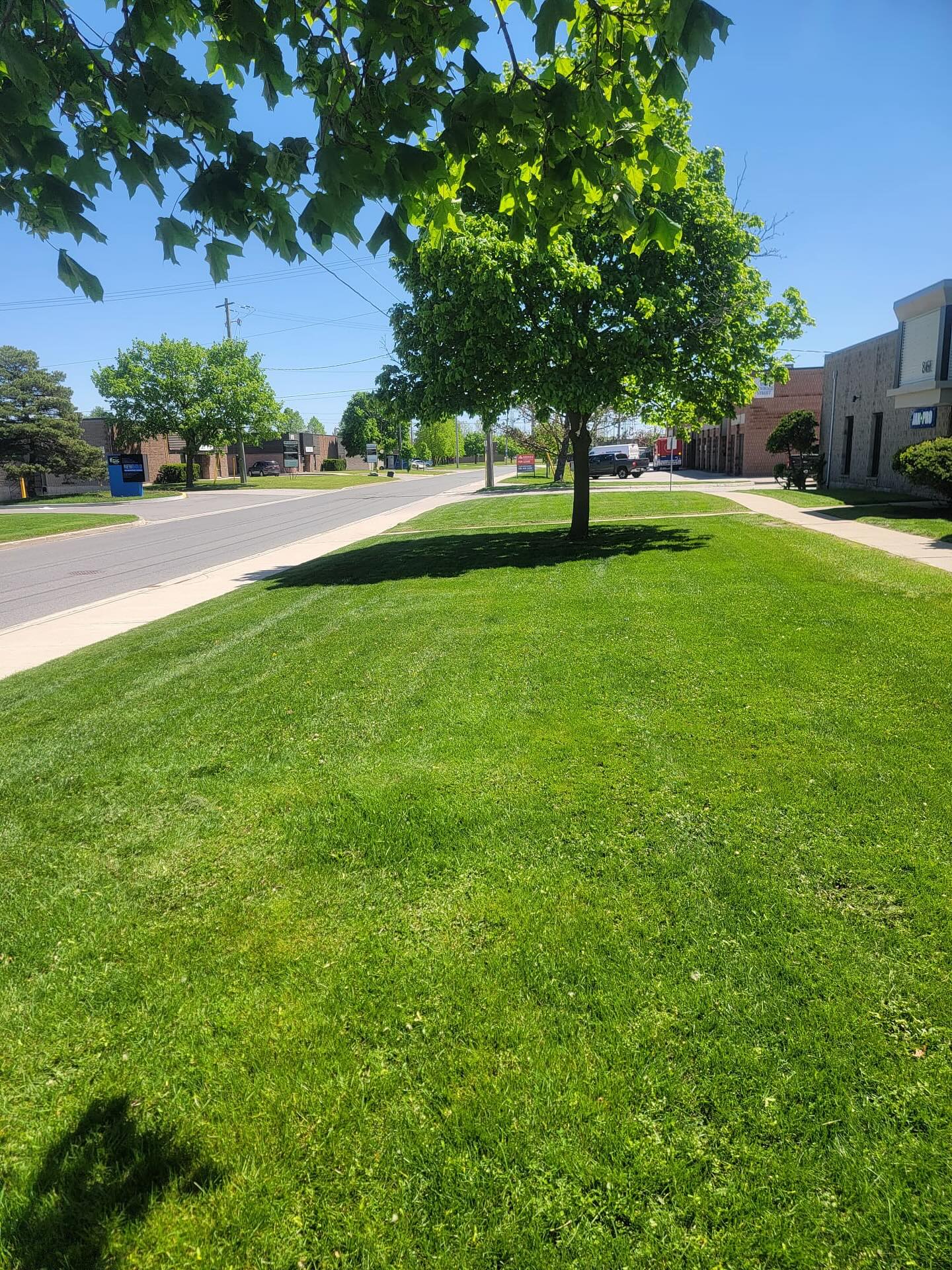 Landscaping