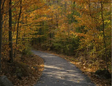 Mount Brydges Lawn Care & Maintenance