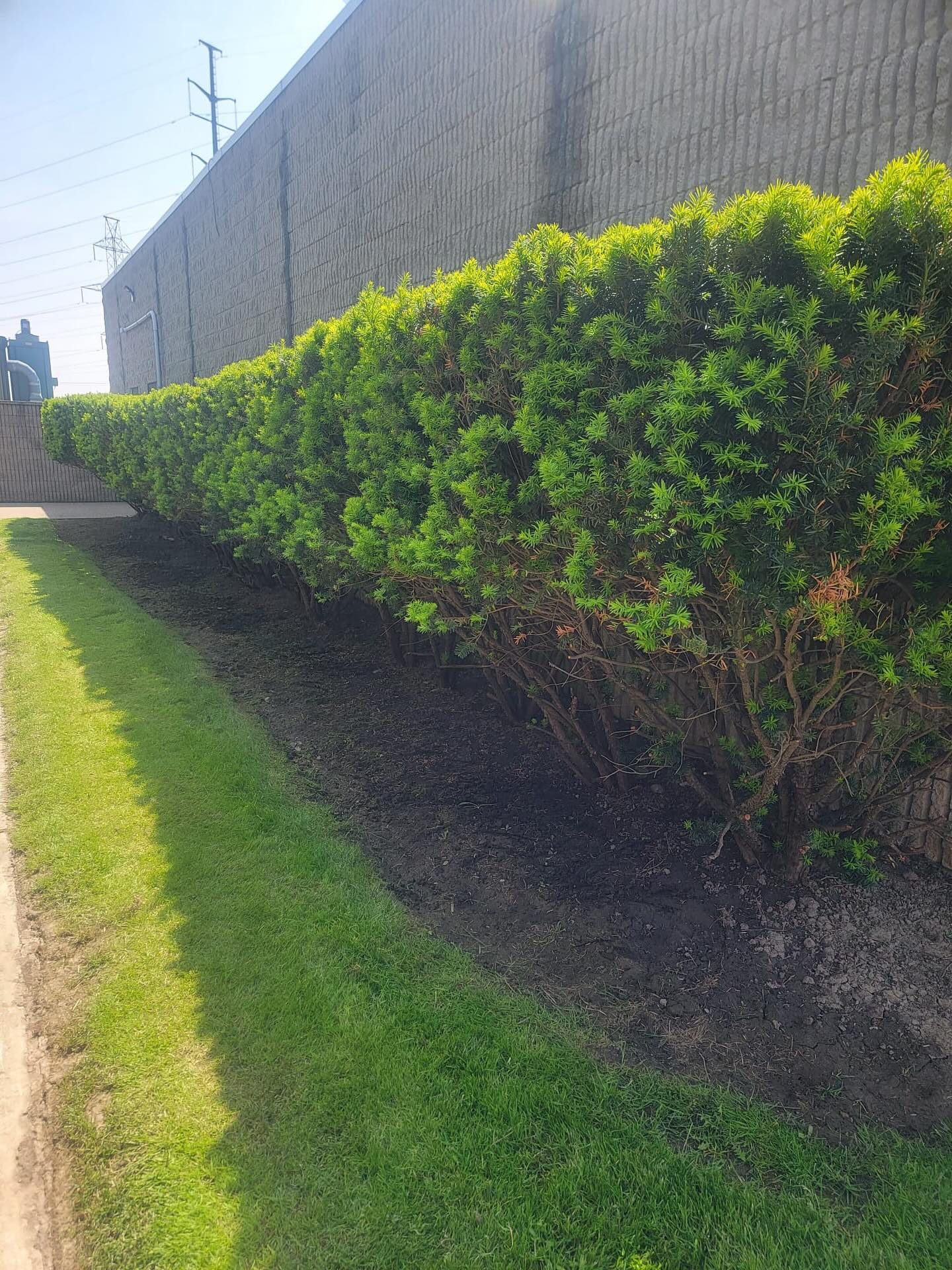 Landscaping London