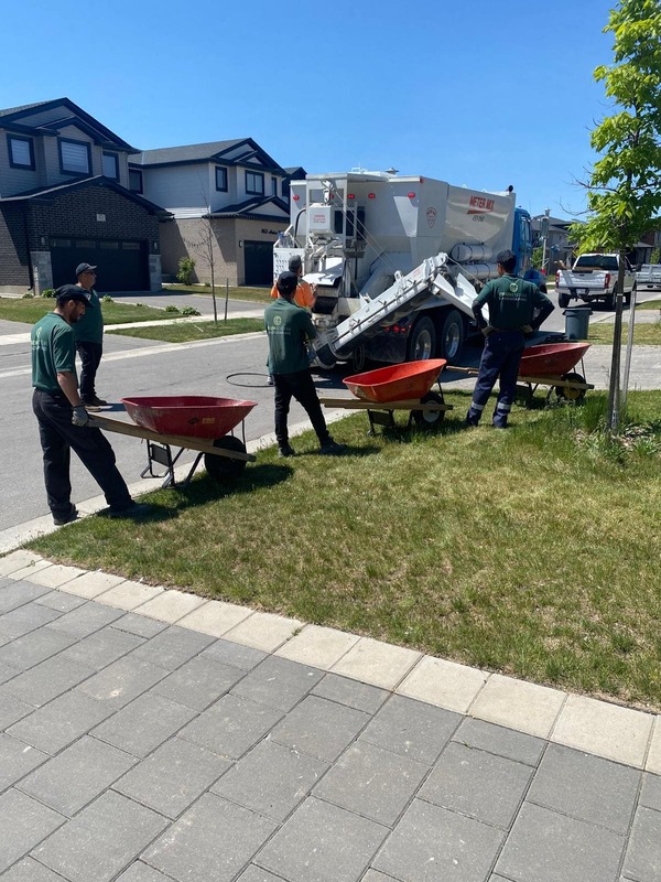 Lawn Care & Maintenance London