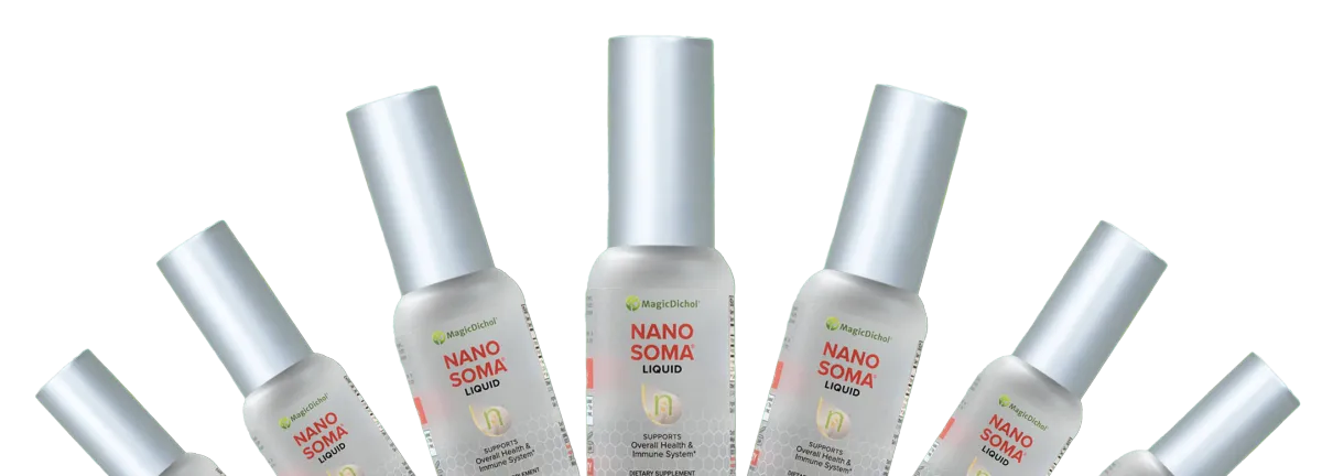 Nano Soma