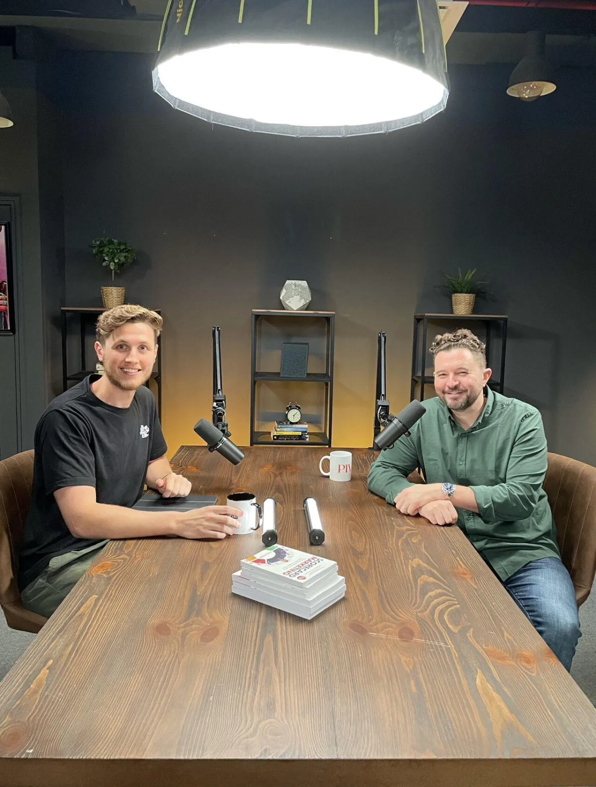 The Healthy Entrepreneur Podcast