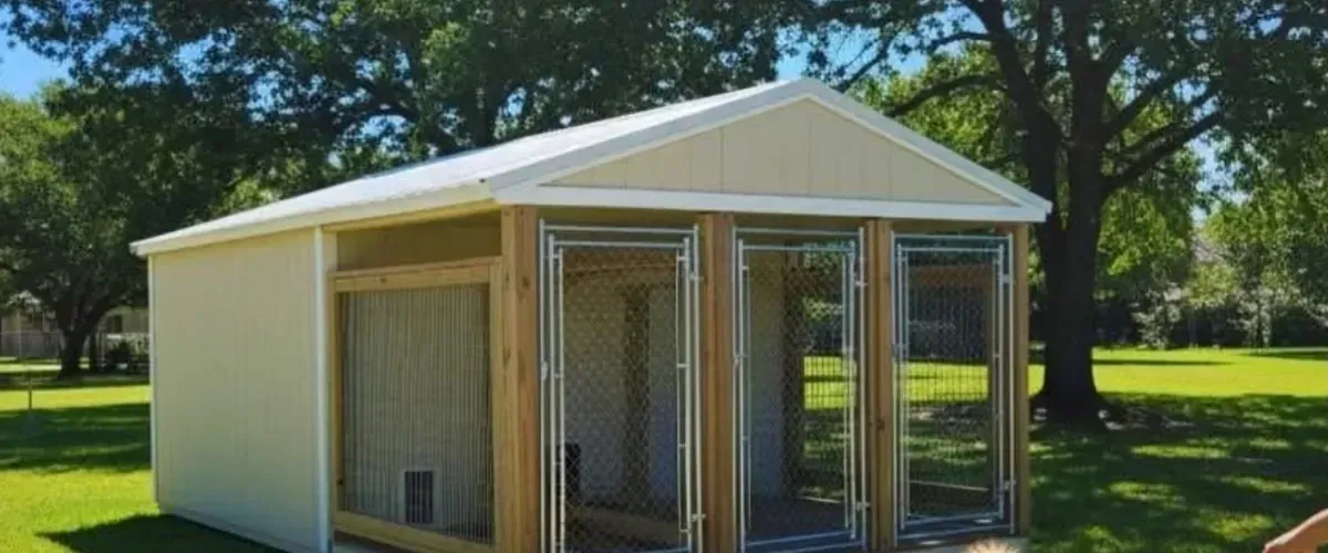 Large outdoor dog kennel shed with multiple chain-link runs in a shaded yard