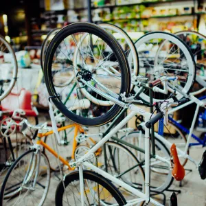 Buying Too Little Bicycle