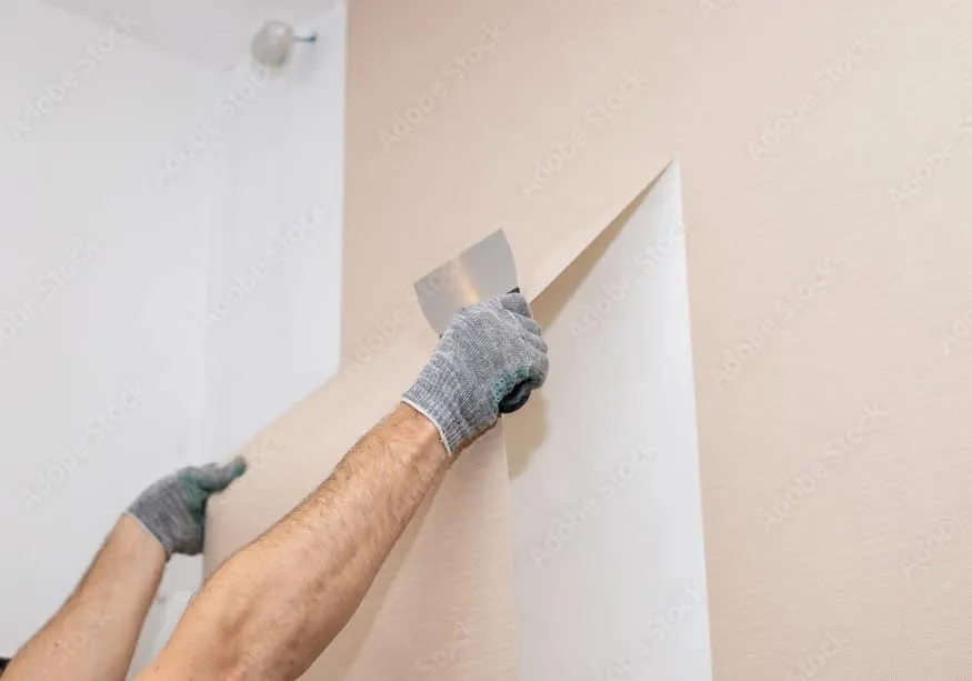 Wallpaper Installation and Removal Services