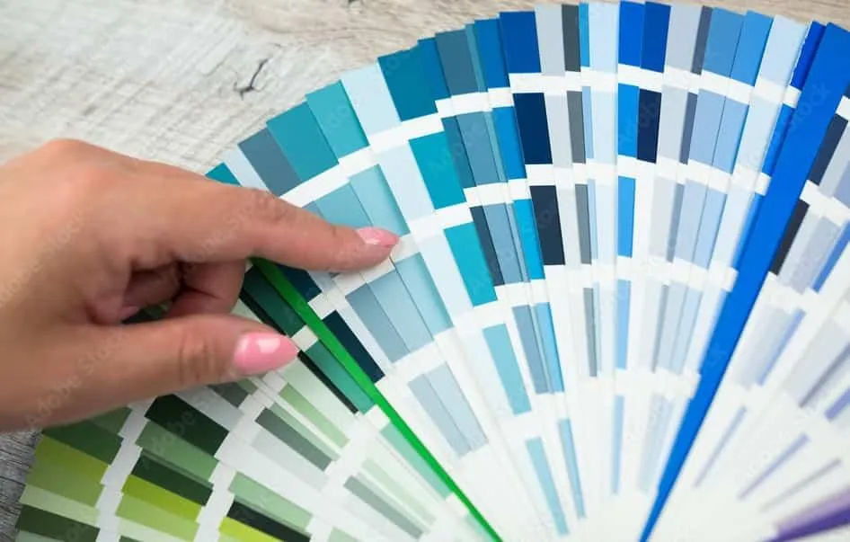 Color Consultation Services