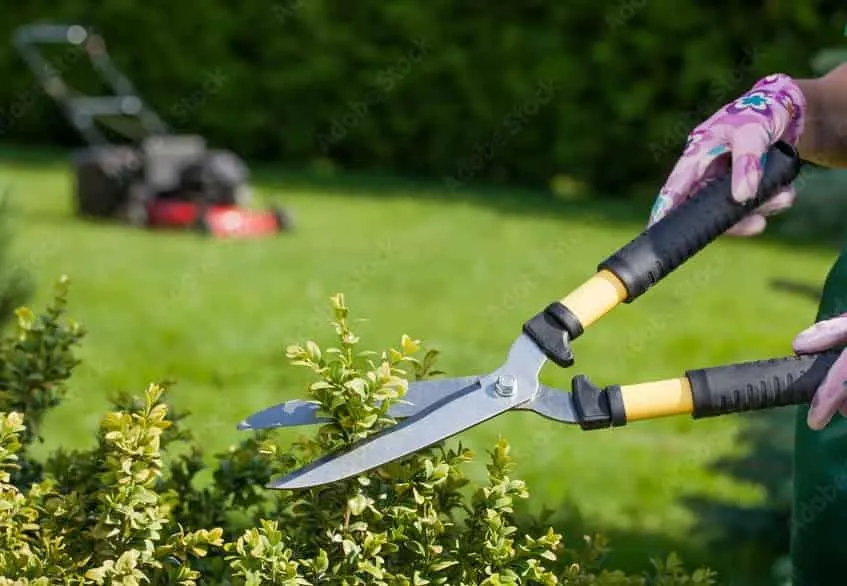 Yard Maintenance Landscaping Services