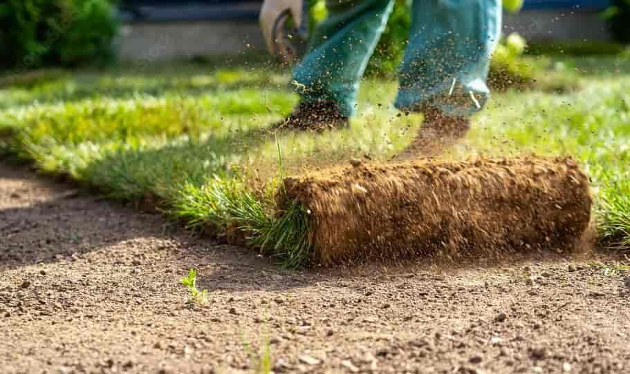 Yard Maintenance Landscaping Services