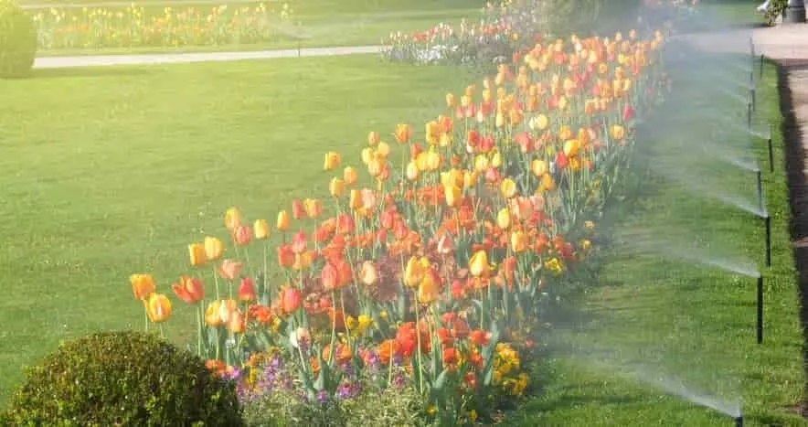 Sprinkler Landscaping Services