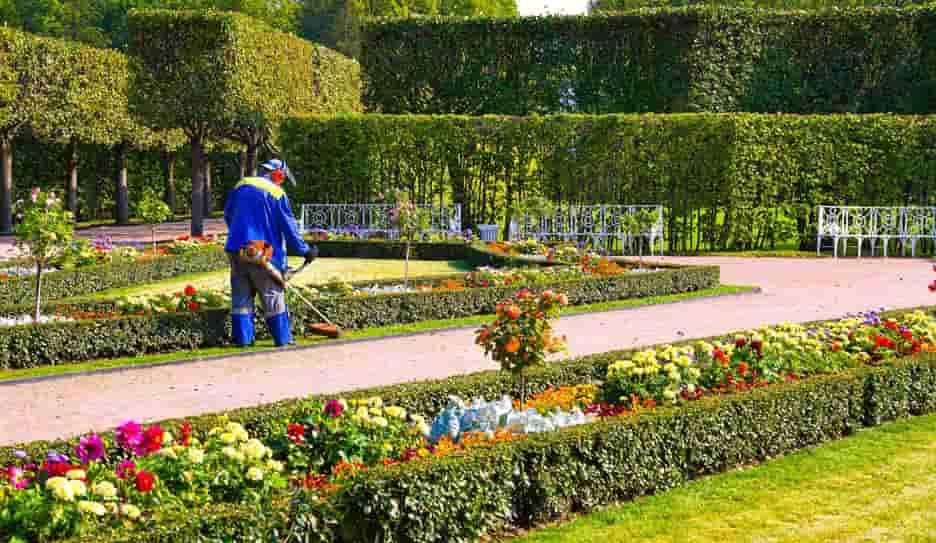 Yard Maintenance Landscaping Services